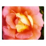 Light Orange and Pink Rose Double Sided Flano Blanket (Large)  80 x60  Blanket Front