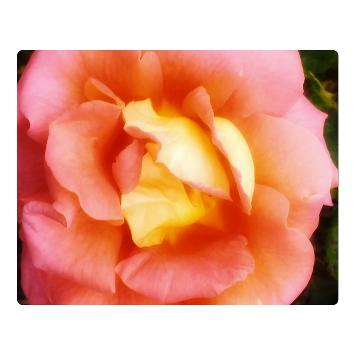 Light Orange and Pink Rose Double Sided Flano Blanket (Large) 