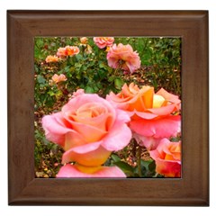 Pink Rose Field Framed Tiles by okhismakingart