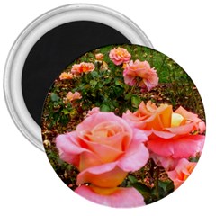 Pink Rose Field 3  Magnets by okhismakingart