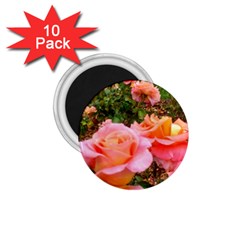 Pink Rose Field 1 75  Magnets (10 Pack)  by okhismakingart