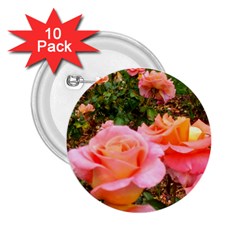 Pink Rose Field 2 25  Buttons (10 Pack)  by okhismakingart