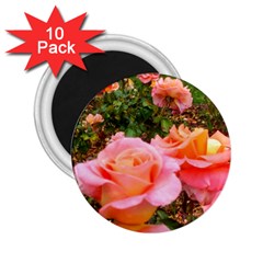 Pink Rose Field 2 25  Magnets (10 Pack)  by okhismakingart