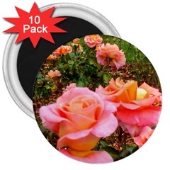 Pink Rose Field 3  Magnets (10 Pack)  by okhismakingart