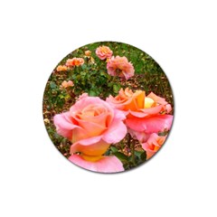 Pink Rose Field Magnet 3  (round) by okhismakingart