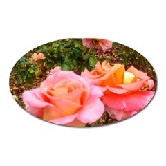 Pink Rose Field Oval Magnet by okhismakingart