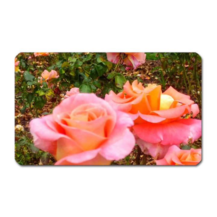 Pink Rose Field Magnet (Rectangular)