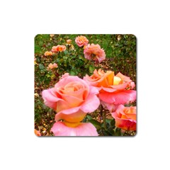 Pink Rose Field Square Magnet by okhismakingart