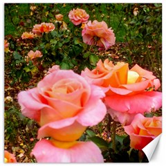 Pink Rose Field Canvas 20  X 20  by okhismakingart