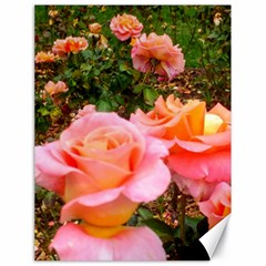 Pink Rose Field Canvas 18  X 24  by okhismakingart