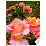 Pink Rose Field Canvas 36  x 48  35.26 x46.15  Canvas - 1