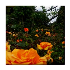 Orange Rose Field Tile Coasters by okhismakingart