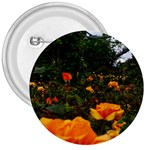 Orange Rose Field 3  Buttons Front