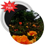 Orange Rose Field 3  Magnets (10 pack)  Front