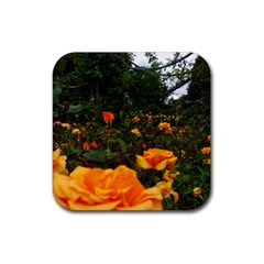 Orange Rose Field Rubber Coaster (square)  by okhismakingart