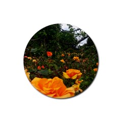 Orange Rose Field Rubber Coaster (round)  by okhismakingart