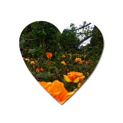 Orange Rose Field Heart Magnet by okhismakingart