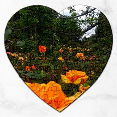 Orange Rose Field Jigsaw Puzzle (heart) by okhismakingart