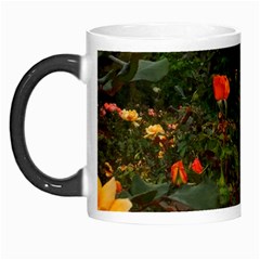 Orange Rose Field Morph Mugs