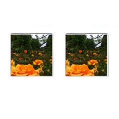 Orange Rose Field Cufflinks (square) by okhismakingart