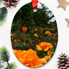 Orange Rose Field Oval Ornament (two Sides) by okhismakingart