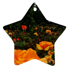 Orange Rose Field Star Ornament (two Sides) by okhismakingart