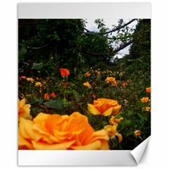 Orange Rose Field Canvas 16  X 20  by okhismakingart