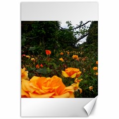 Orange Rose Field Canvas 24  X 36  by okhismakingart