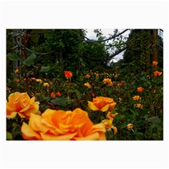 Orange Rose Field Large Glasses Cloth (2-side) by okhismakingart