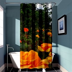 Orange Rose Field Shower Curtain 36  X 72  (stall)  by okhismakingart