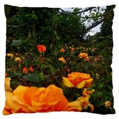 Orange Rose Field Large Cushion Case (one Side) by okhismakingart