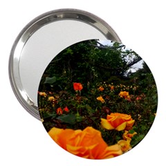 Orange Rose Field 3  Handbag Mirrors by okhismakingart