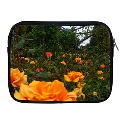 Orange Rose Field Apple Ipad 2/3/4 Zipper Cases by okhismakingart