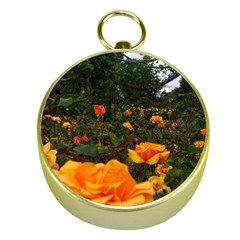 Orange Rose Field Gold Compasses by okhismakingart