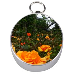 Orange Rose Field Silver Compasses by okhismakingart