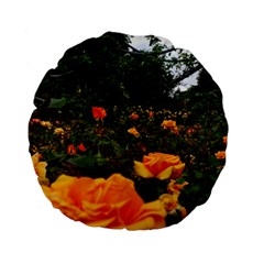 Orange Rose Field Standard 15  Premium Flano Round Cushions by okhismakingart