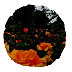 Orange Rose Field Large 18  Premium Flano Round Cushions by okhismakingart