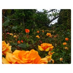 Orange Rose Field Double Sided Flano Blanket (medium)  by okhismakingart