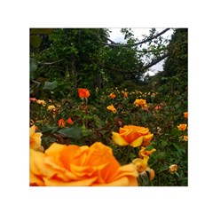 Orange Rose Field Small Satin Scarf (square) by okhismakingart