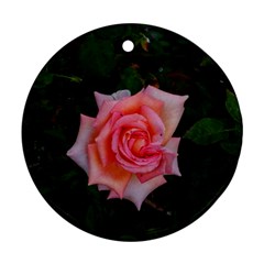 Pink Angular Rose Ornament (round) by okhismakingart