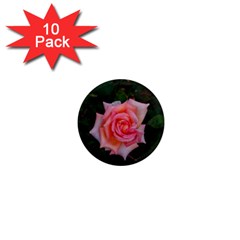 Pink Angular Rose 1  Mini Magnet (10 Pack)  by okhismakingart