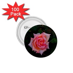 Pink Angular Rose 1 75  Buttons (100 Pack)  by okhismakingart