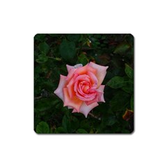 Pink Angular Rose Square Magnet by okhismakingart