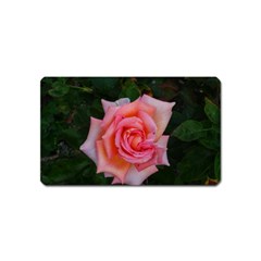 Pink Angular Rose Magnet (name Card) by okhismakingart