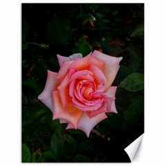 Pink Angular Rose Canvas 18  X 24  by okhismakingart