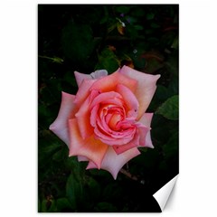 Pink Angular Rose Canvas 20  X 30  by okhismakingart