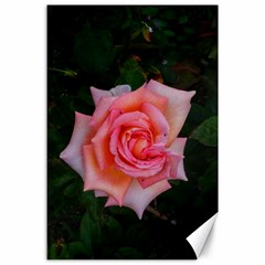 Pink Angular Rose Canvas 24  X 36  by okhismakingart