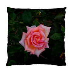 Pink Angular Rose Standard Cushion Case (one Side) by okhismakingart