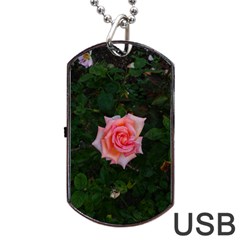 Pink Angular Rose Dog Tag Usb Flash (two Sides) by okhismakingart