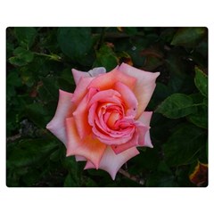 Pink Angular Rose Double Sided Flano Blanket (medium)  by okhismakingart